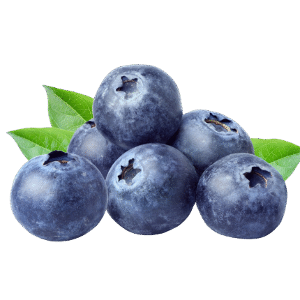 Blueberries