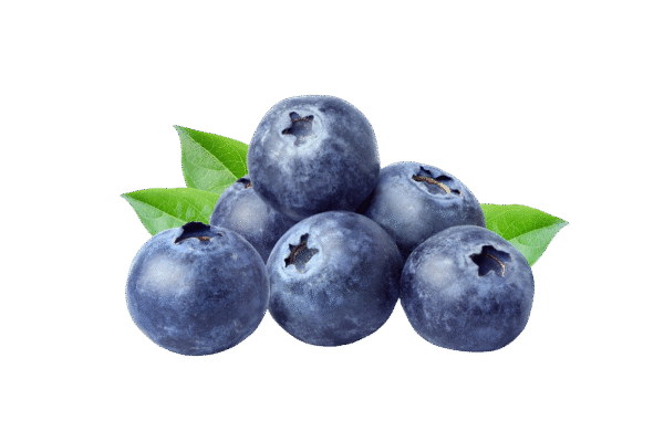 Blueberries