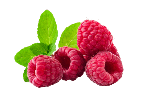 Raspberry